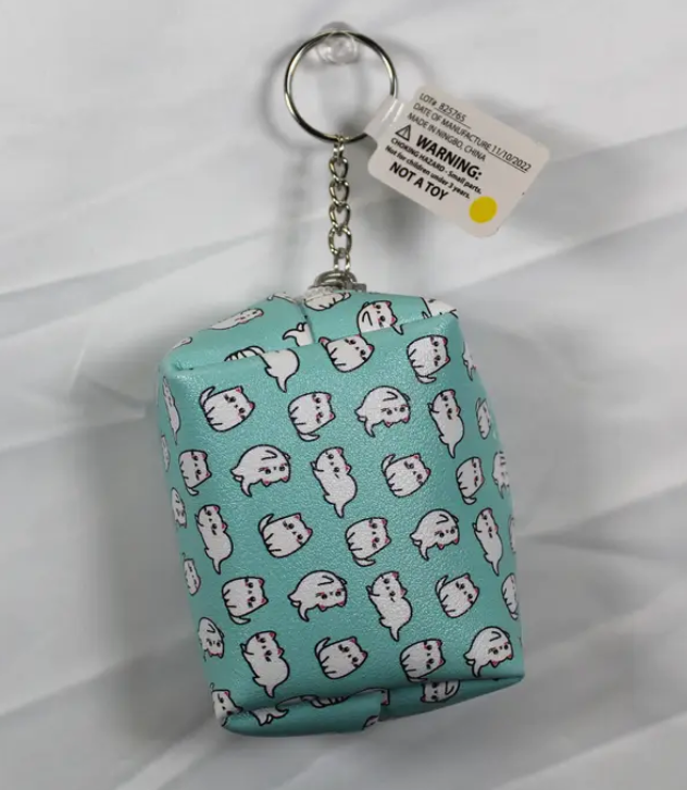 Keychain - Aqua change purse